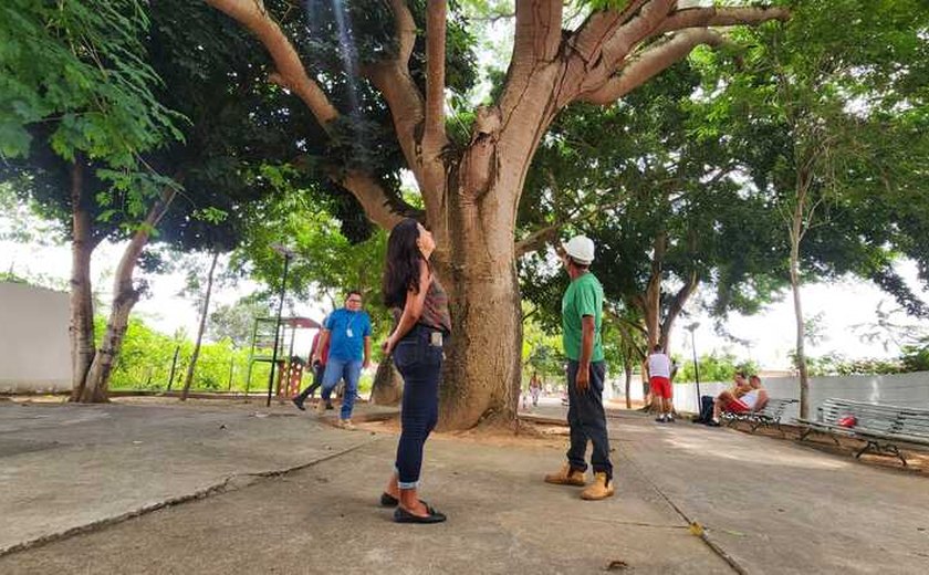 Arapiraca Verde: Técnicos da Prefeitura inspecionam vegetação dos espaços públicos