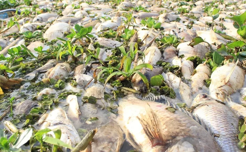 Despejo de poluente no Rio Piracicaba pode ter comprometido piracema, alerta APqC
