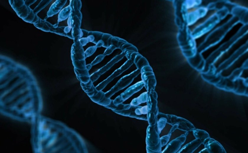 Mapeamento de DNA de brasileiros revela mais de 8 milhões de mutações genéticas desconhecidas