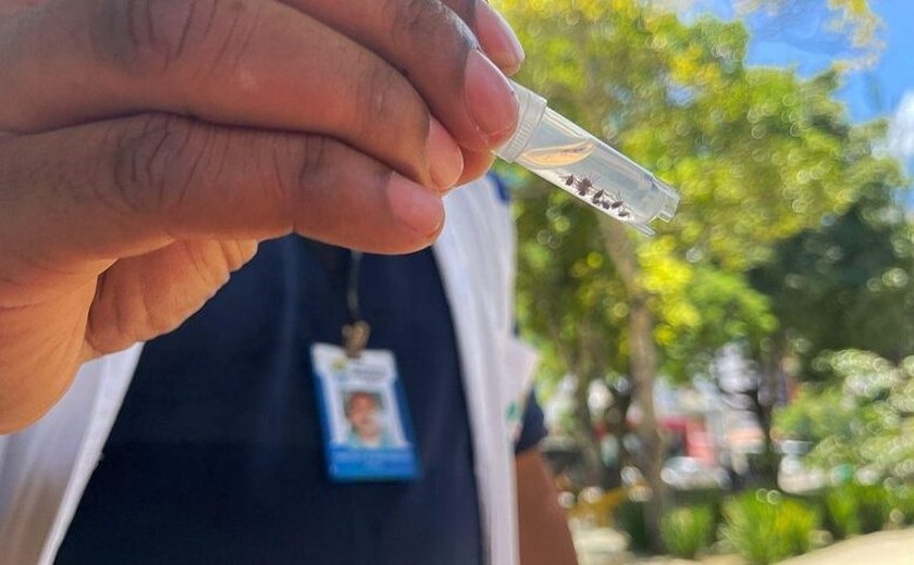 Vigilância de Zoonoses vistoria praça com focos de carrapatos na Gruta e define medidas de controle contra infestação