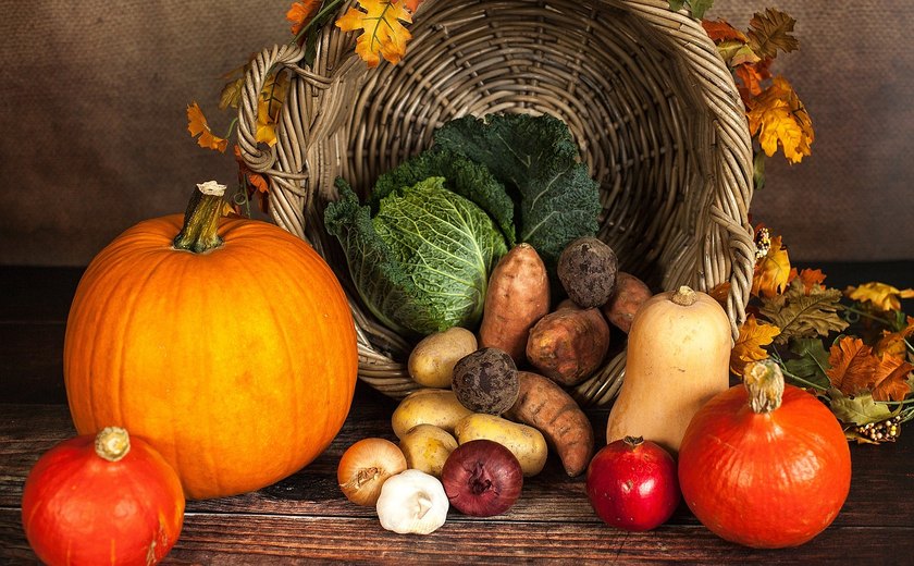 Dezembro Laranja: entenda como a dieta ajuda a prevenir o câncer de pele