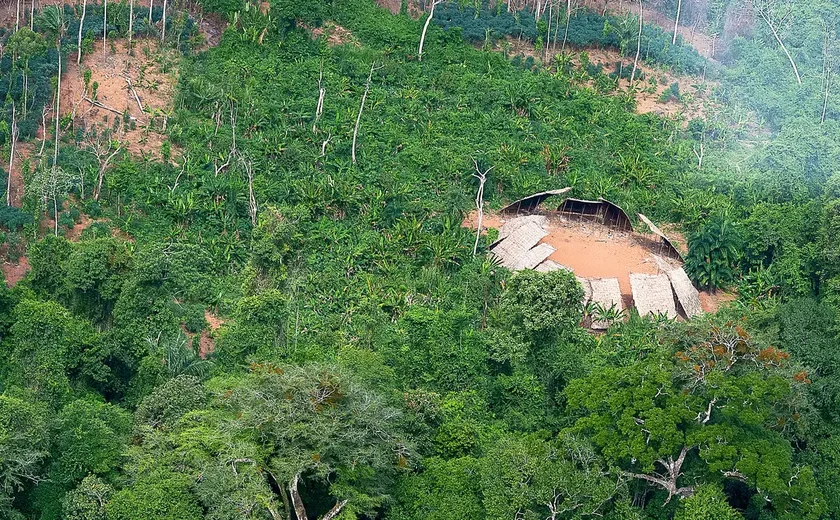 Desmatamento cai 62% na Amazônia e 12% em todo o Brasil, aponta MapBiomas