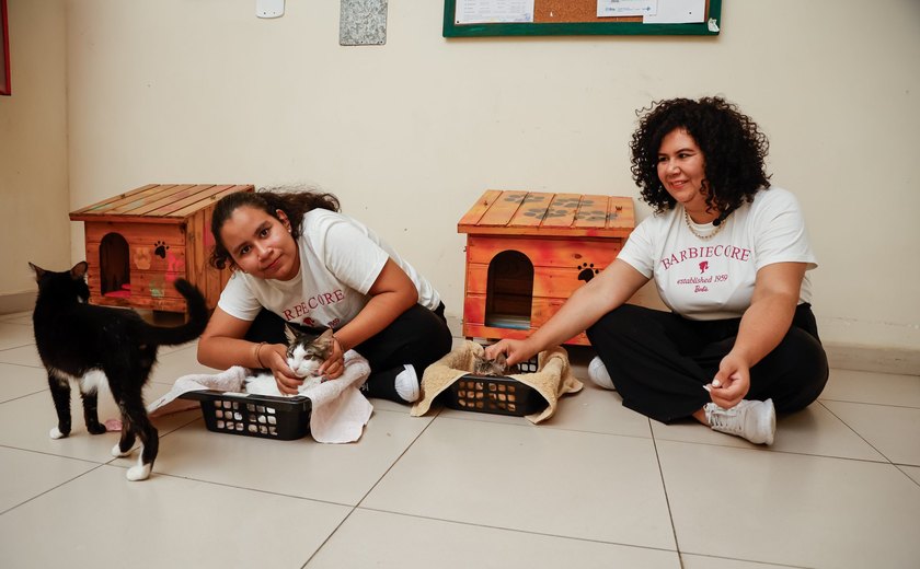Gatos ajudam pacientes com transtornos mentais em projeto terapêutico