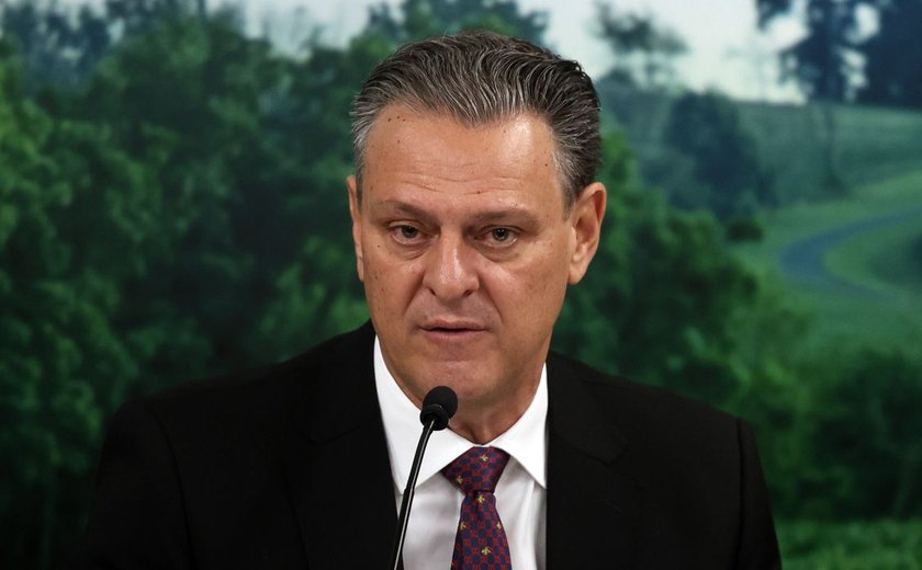 Combate à gripe aviária mostra eficiência do Brasil, diz ministro