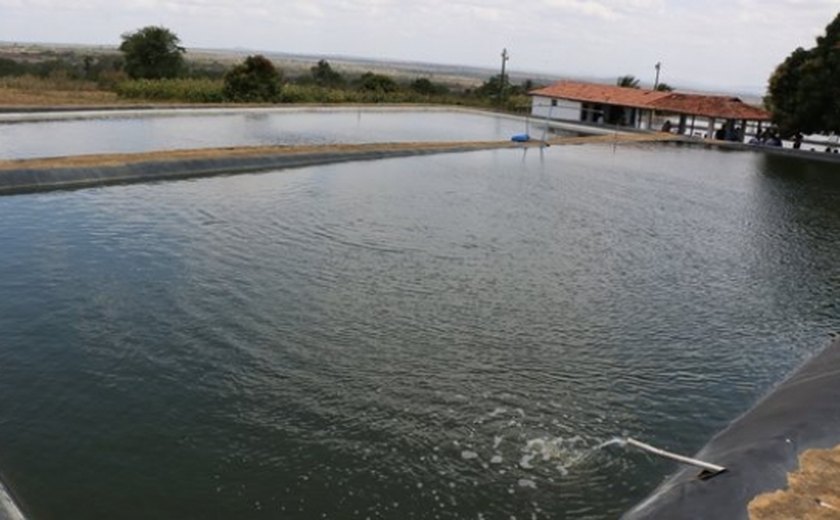 Pequenas barragens asseguram água para famílias no Sertão alagoano