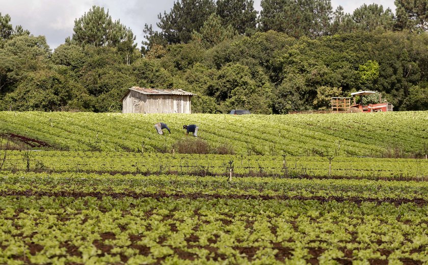 Sancionada lei que retoma o Programa de Aquisição de Alimentos
