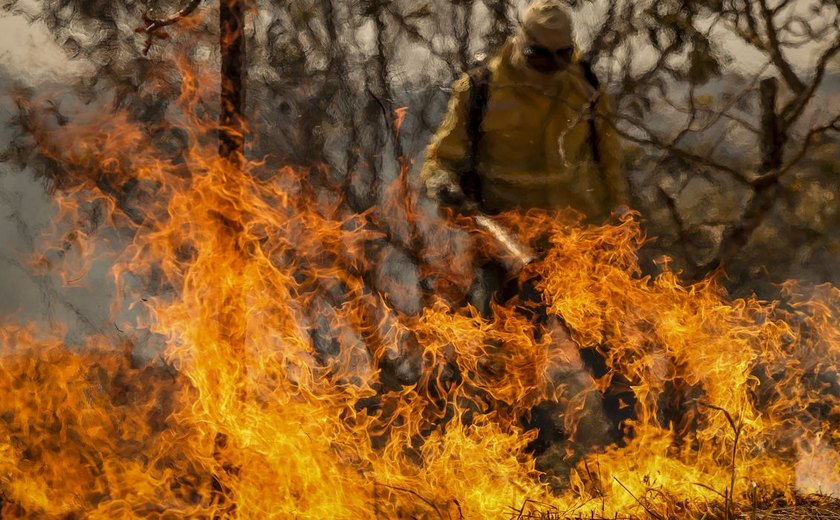 Entenda as linhas de investigação dos incêndios florestais no país