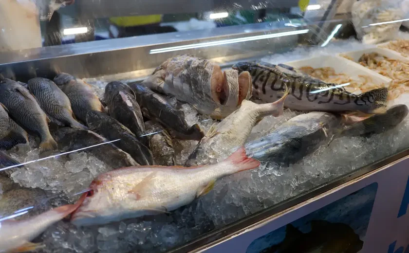 Peixe BR: tarifa de 50% dos EUA atinge diretamente o setor e é preciso restabelecer diálogo