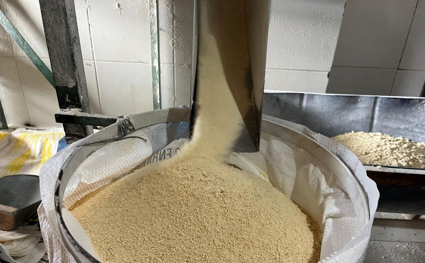 Alagoas participa de missão em Sergipe para conhecer potencialidades do mercado da mandioca