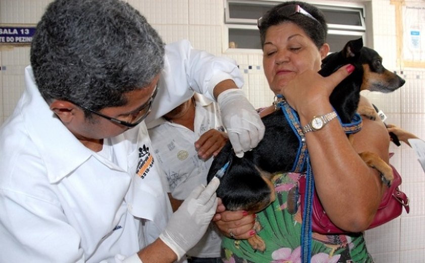 Sesau e municípios iniciam campanha de vacinação antirrábica na segunda