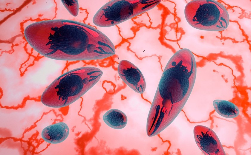 Santa Maria, no RS, vive o maior dos surtos de toxoplasmose