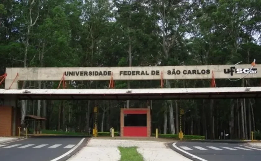 Pesquisadores desenvolvem esponja intravaginal para tratar candidíase