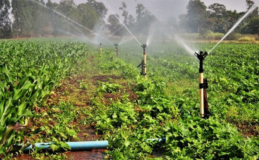 Comissão debate papel da irrigação frente às mudanças climáticas