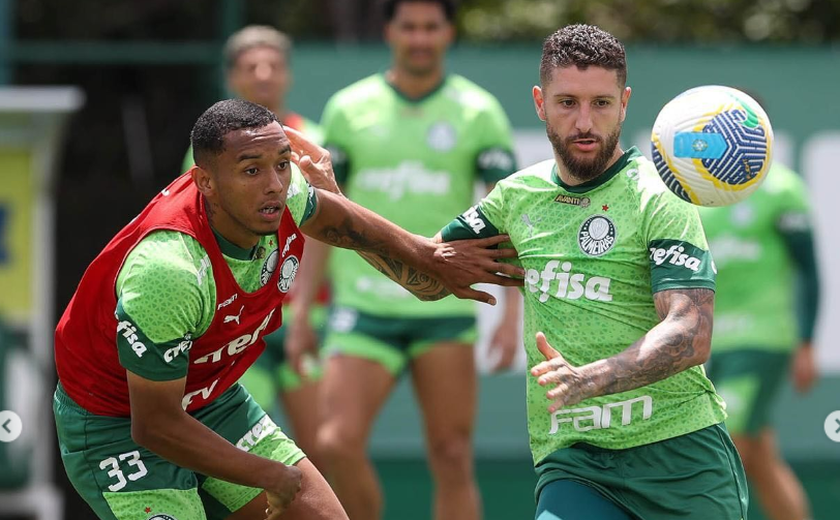 Palmeiras reproduz erros em derrota contra o Fluminense e, vaiado, amarga o vice do Brasileirão