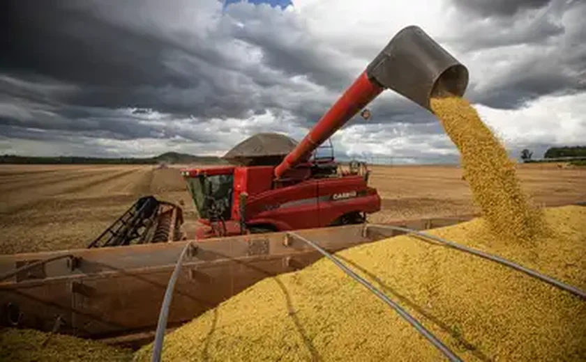 Enchentes no Rio Grande do Sul já impactam preço da soja no mercado internacional; entenda