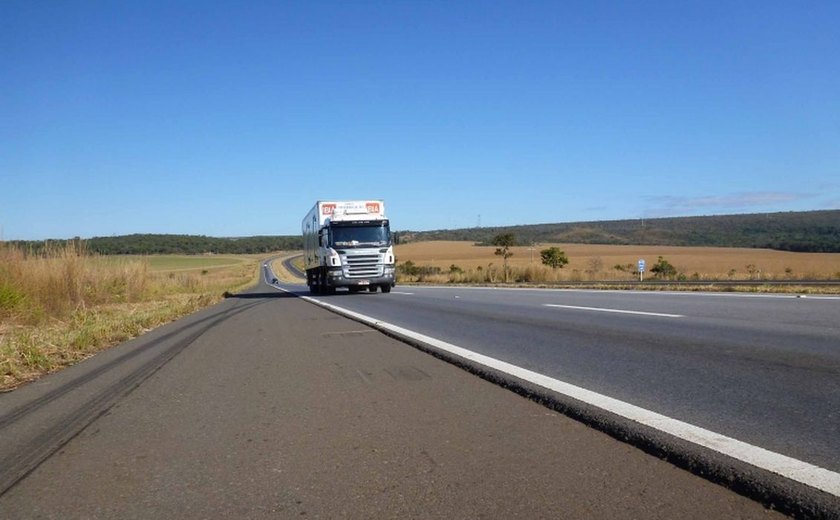 Consórcio K&G Rota da Celulose vence leilão de rodovia em MS