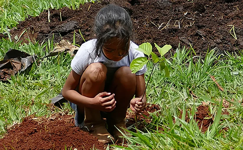 Estudo revela efetividade das ações de conservação ambiental