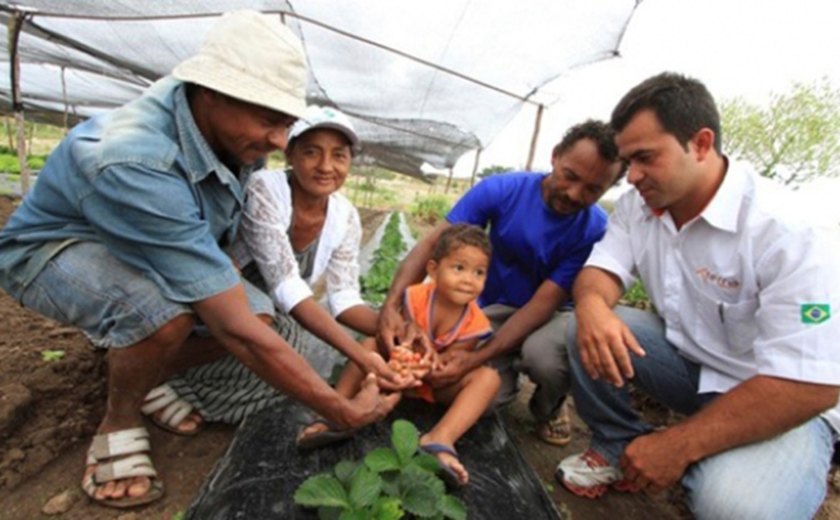 Emater e São José da Tapera oficializam parceria para desenvolver agricultura familiar