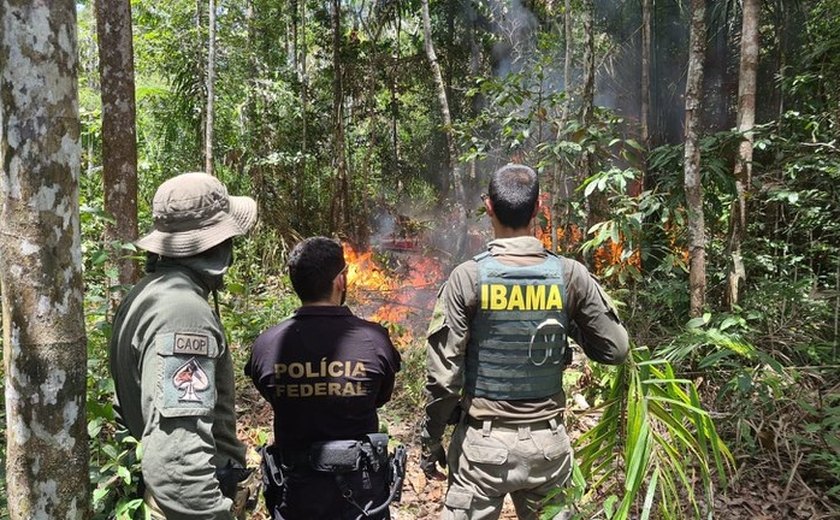 Equipe do Ibama é atacada ao fiscalizar garimpo ilegal no Pará