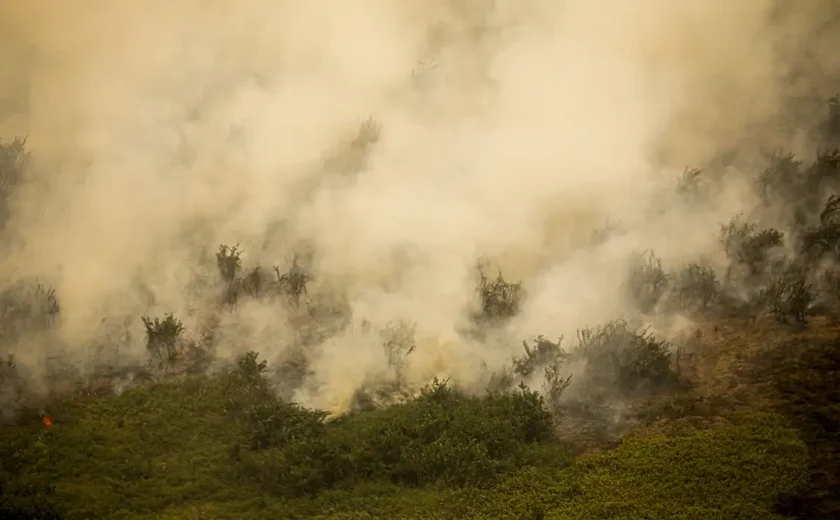 Governo vai liberar R$ 100 mi para combate a incêndios no Pantanal