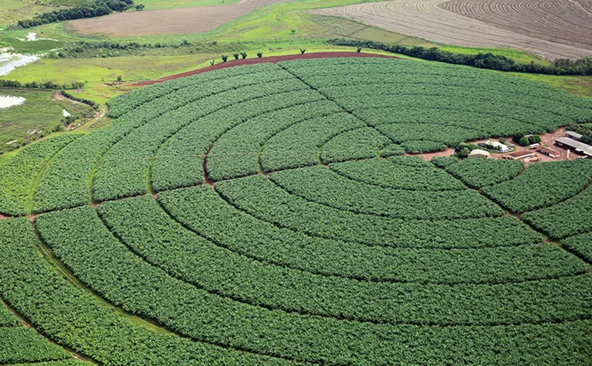 Acordo da China com Mercosul beneficiaria o agro brasileiro, mas prejudicaria indústria nacional, mostra estudo