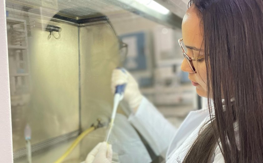 Pesquisadores da Uesb identificam 'bactérias do bem' em produção de linguiça artesanal