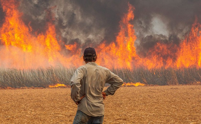 Inpe aponta que focos de incêndio caíram pela metade no país