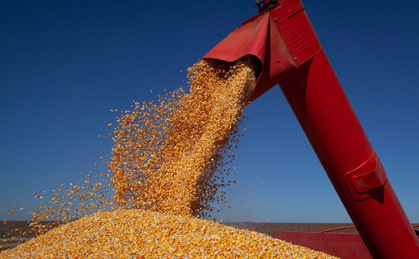 6ª estimativa da Conab para safra 2021/22 indica produção de 265,70 milhões de t