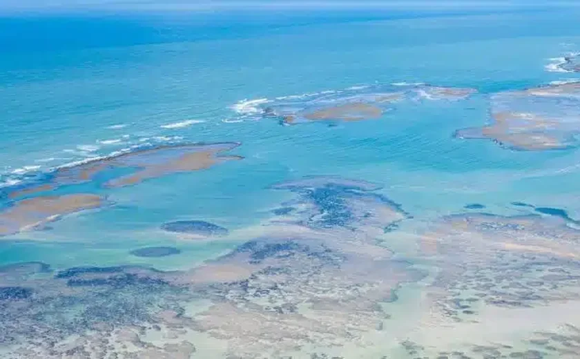 Costa dos Corais enfrenta colapso ambiental e pode desaparecer