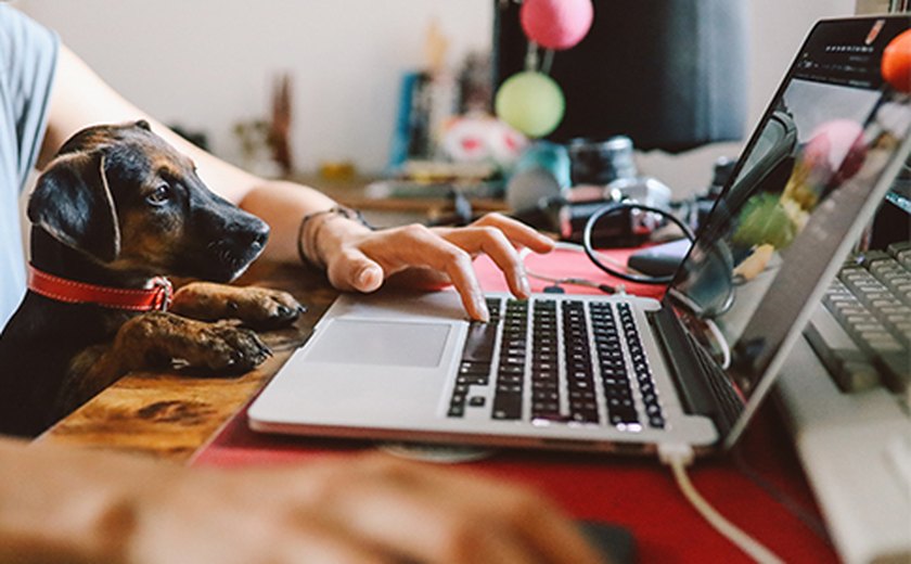 Home office e horário flexível viram trunfos para atrair profissionais