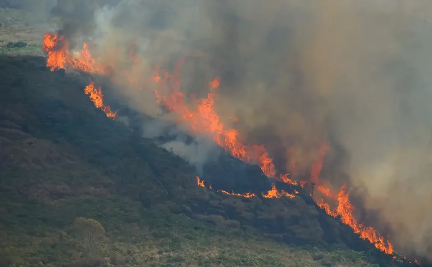 Fogo destrói áreas protegidas na Chapada dos Veadeiros, em Goiás