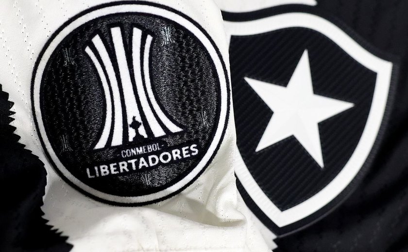 Botafogo irá banir torcedor que cometeu racismo contra Palmeiras