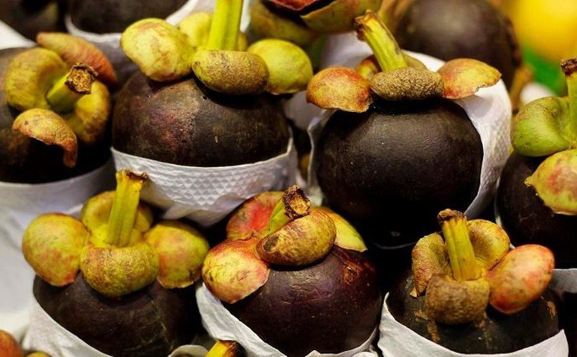 Mangostim: fruta eleita melhor do mundo é rica em antioxidantes e tanino; conheça