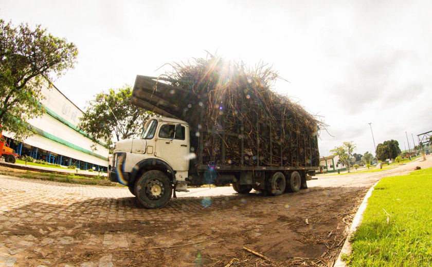 Copevales inicia moagem de cana-de-açúcar da safra 2023/2024 na próxima segunda-feira