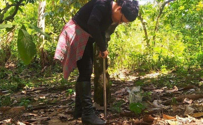 Cacau seguro: pesquisa da Uesb comprova qualidade de solo baiano para produção do fruto