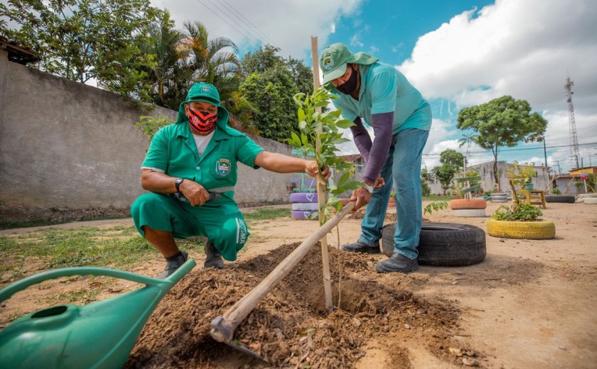 Em 2022, Prefeitura de Maceió já realizou o plantio de mais de 2.400 exemplares na capital