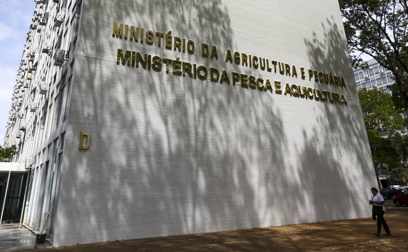 Agricultura confirma suspensão de importação de produtos avícolas de Go e MT pelo Japão