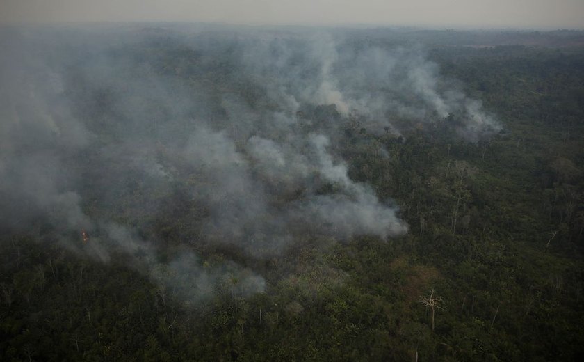 Em audiência, Flávio Dino diz que há uma pandemia de incêndios no país