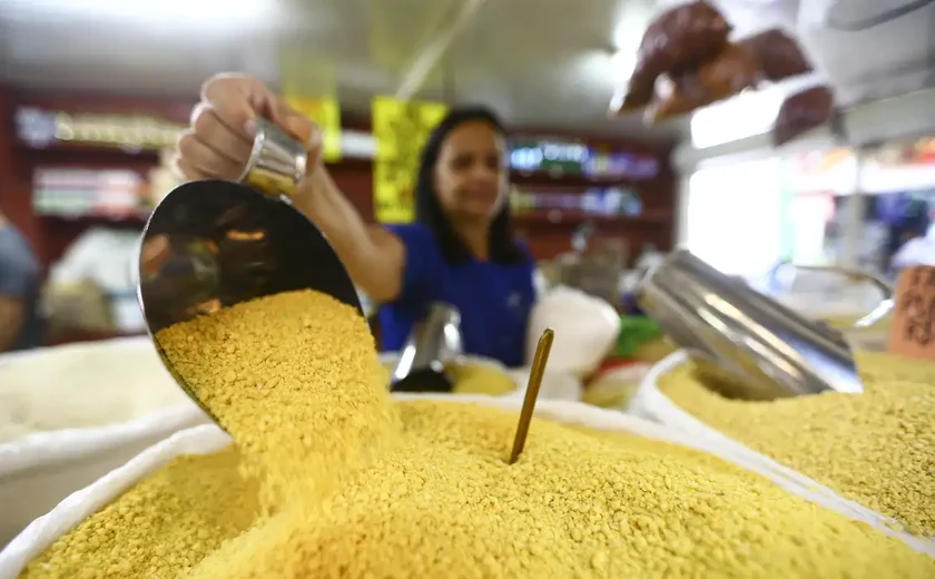 Em 2023, população brasileira ocupada passou dos 100 milhões