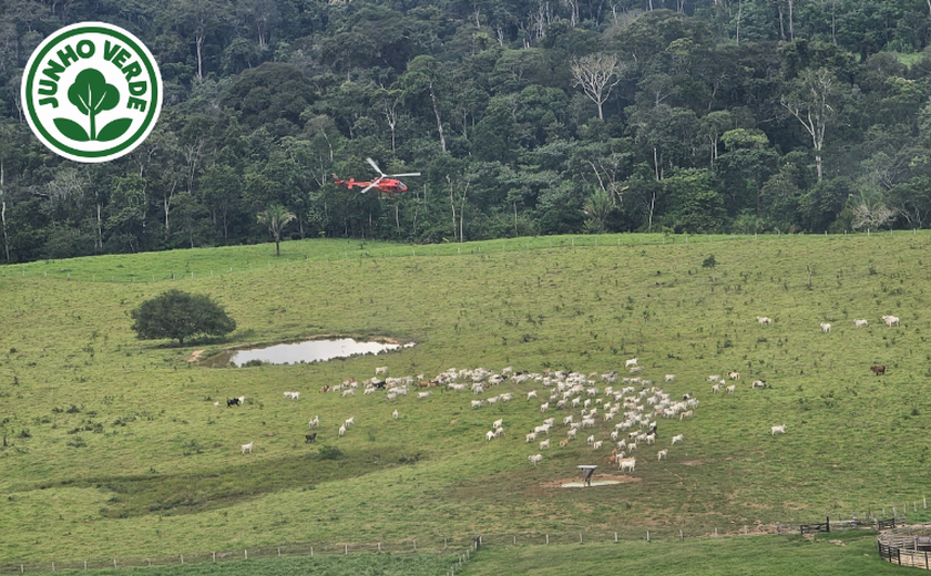 Agentes do ICMBio sofrem atentados em reserva no Acre