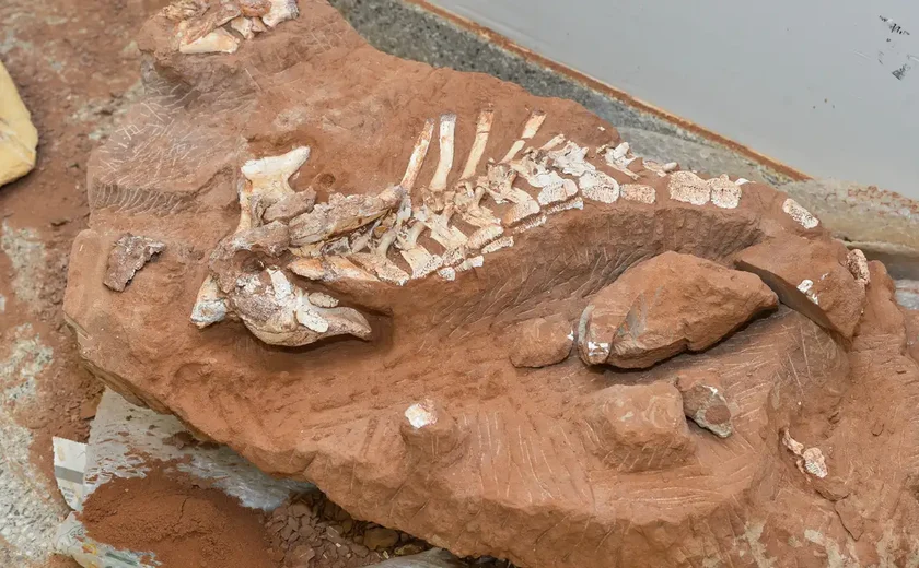 Saiba como era o dinossauro cujo fóssil foi leiloado por quase R$ 250 milhões