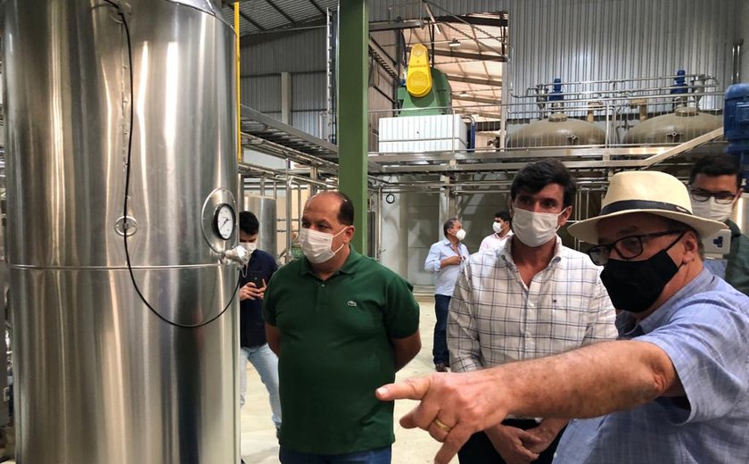 Indústria de beneficiamento de mandioca vai gerar empregos em Teotônio Vilela