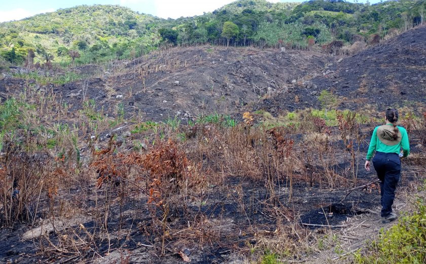 Clima seco em Alagoas aumenta número de queimadas e reforça necessidade de cuidado no uso do fogo