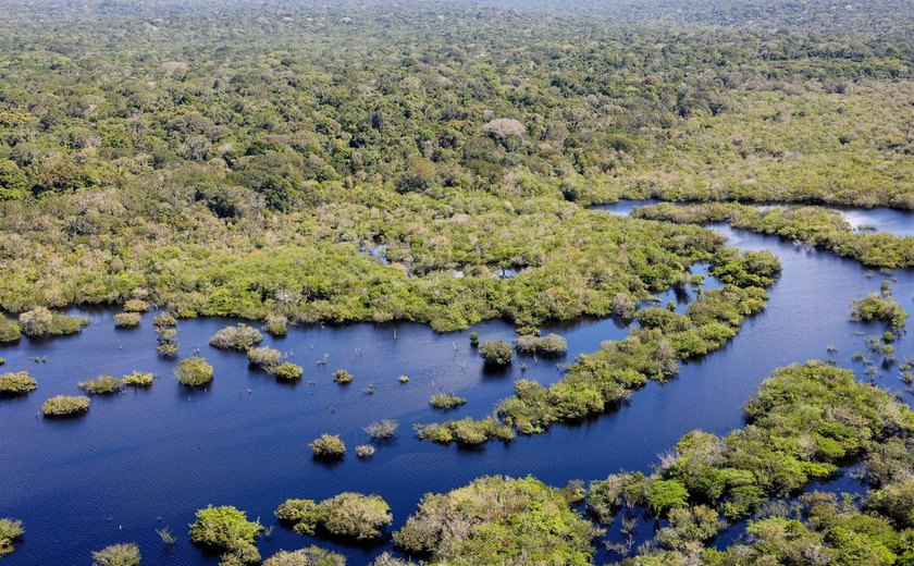 Projeto documenta os ritmos musicais da Amazônia