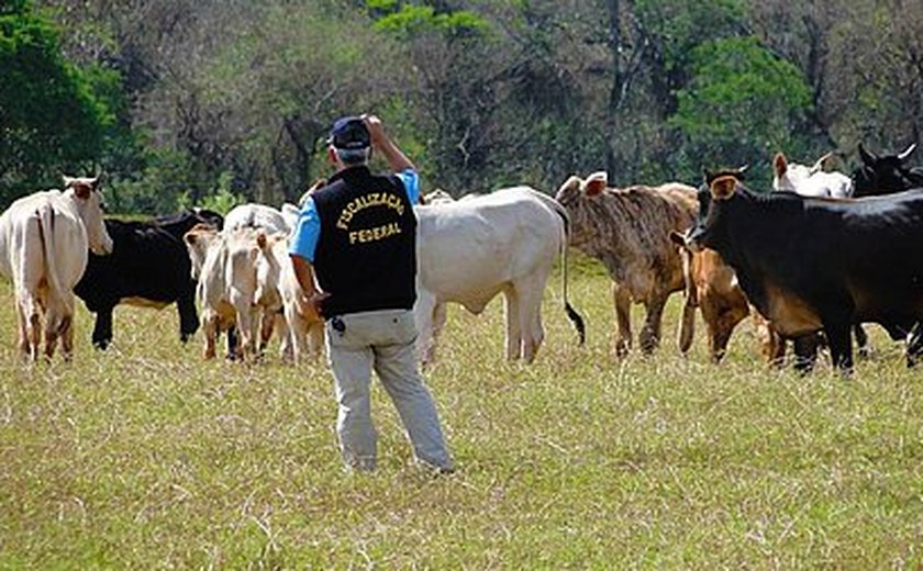 Auditores fiscais agropecuários repudiam reajuste de 5% proposto por Bolsonaro