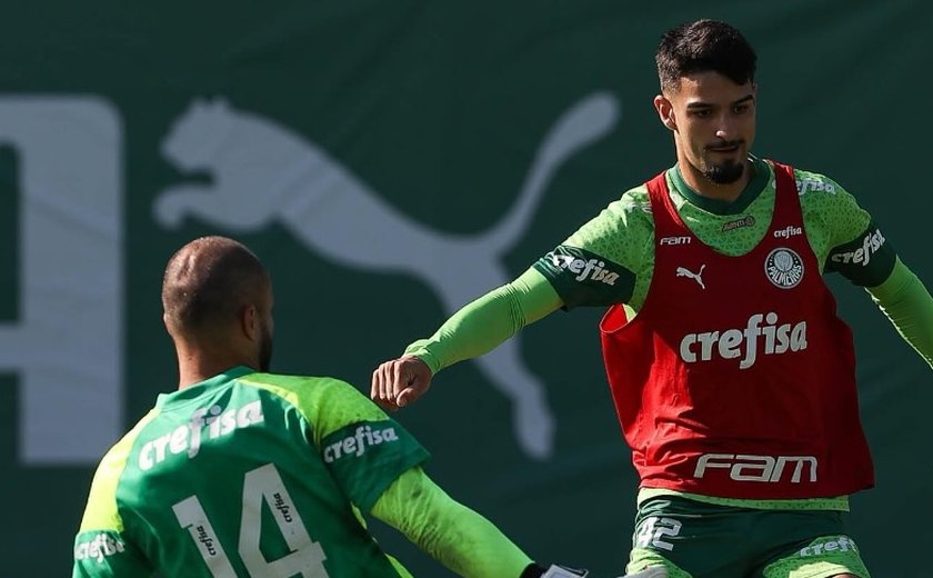 Palmeiras estende contrato com fornecedor de material esportivo até 2028