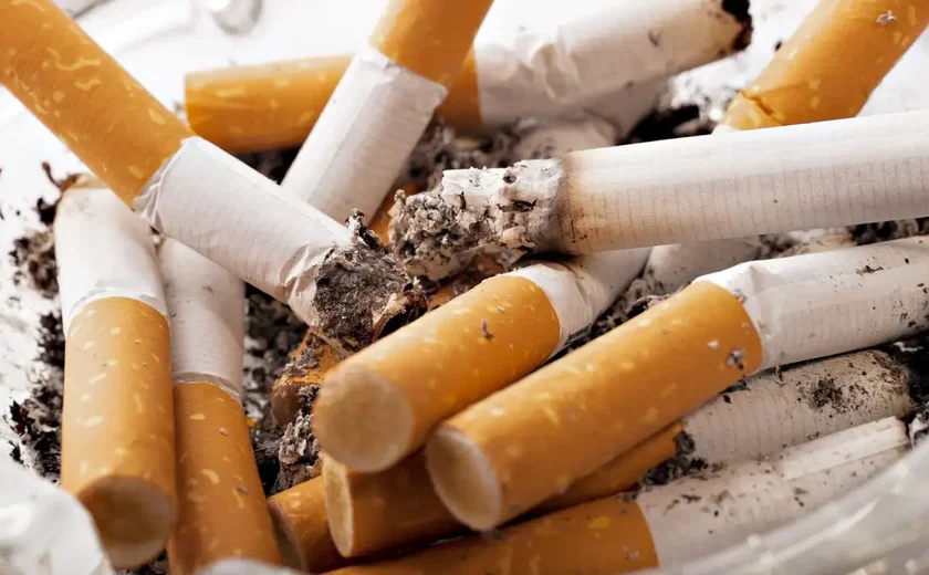 Exportação brasileira de tabaco cresce 18% no 1º quadrimestre ante igual período de 2024