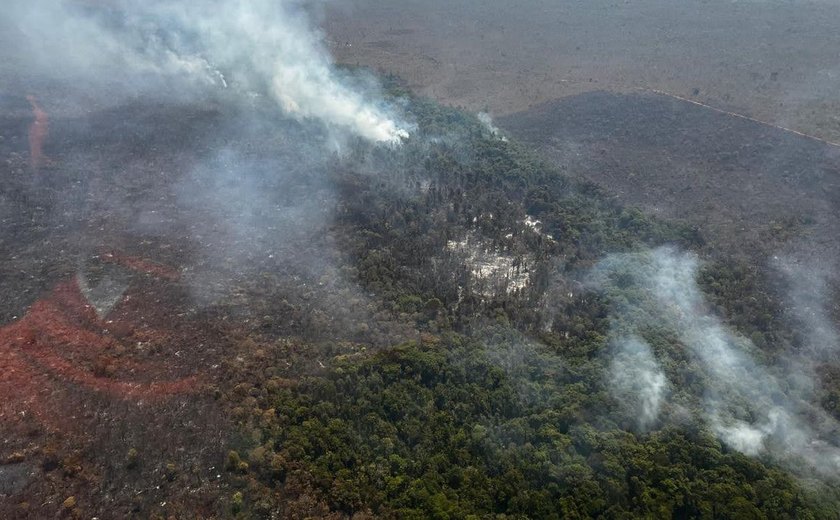 Incêndio florestal no Parque Nacional de Brasília está controlado