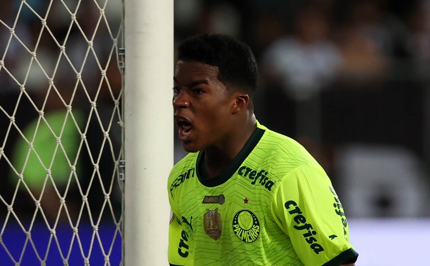 Endrick dá show e se torna o astro da virada épica do Palmeiras sobre o Botafogo