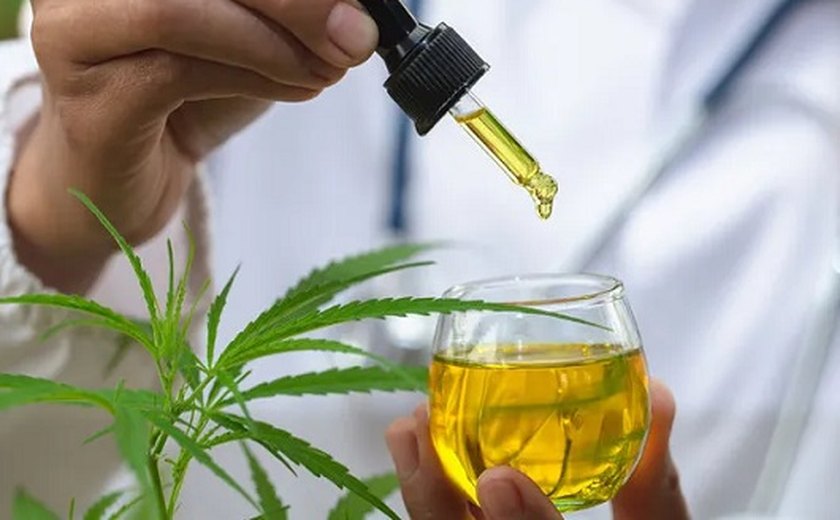 Custo do tratamento com cannabis medicinal reduz em 41% em 2 anos no Brasil, aponta Levantamento da Cannect